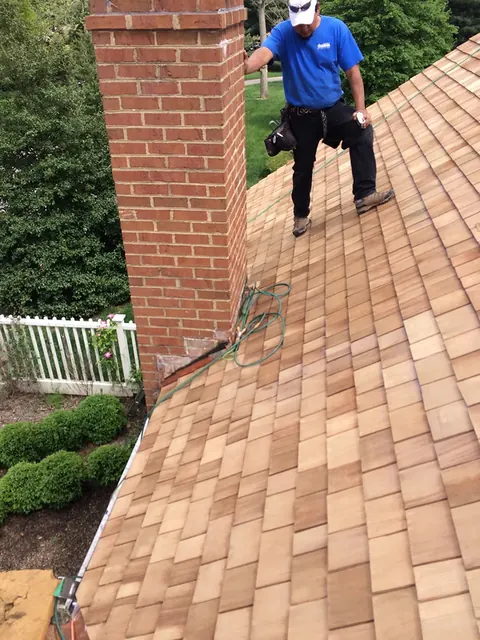 Wooden Roof 2-3