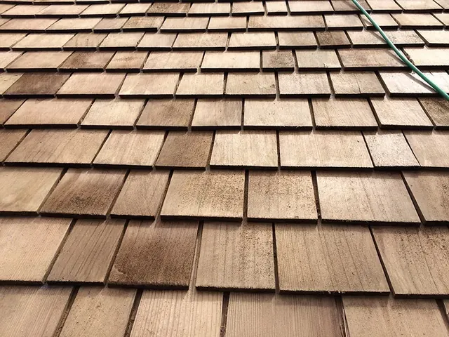 Wooden Roof 3-1