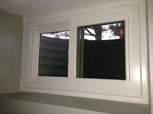 Replacement Window 2