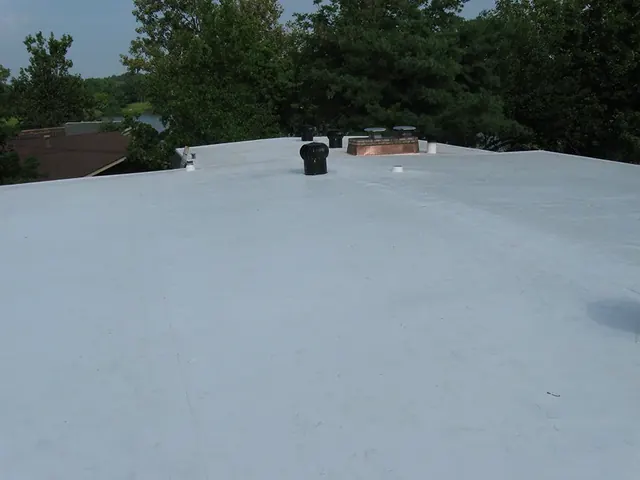 Flat Roof 4