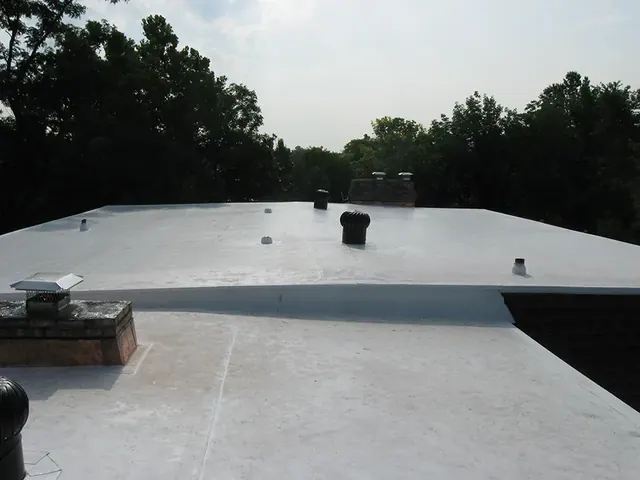 Flat Roof 5