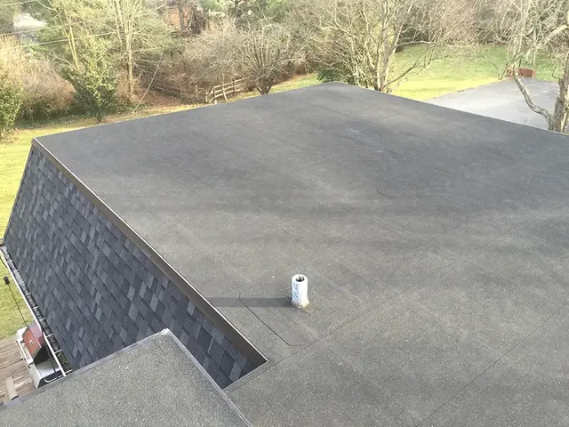 Flat Roof 6