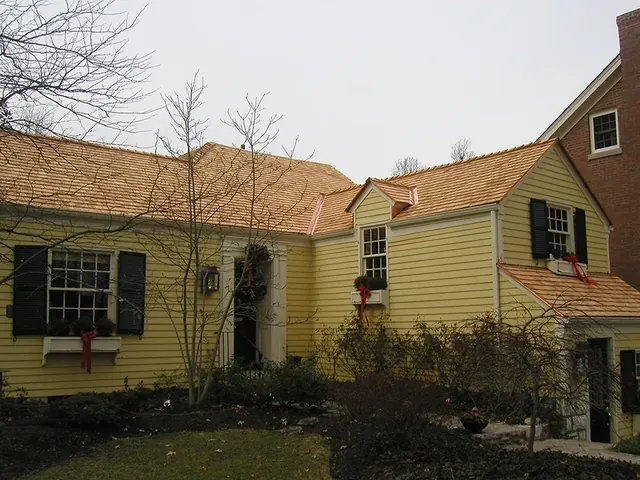 Wooden Roof 5-1