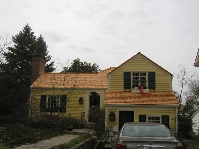 Wooden Roof 5-2